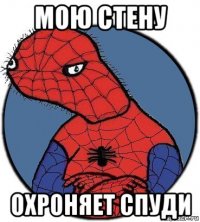 мою стену охроняет спуди