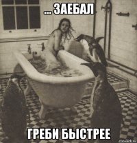 … заебал греби быстрее