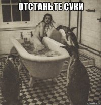 отстаньте суки 