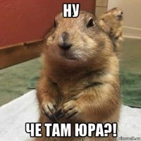 ну че там юра?!