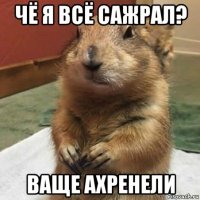 чё я всё сажрал? ваще ахренели