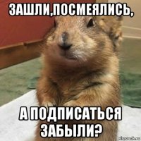 зашли,посмеялись, а подписаться забыли?