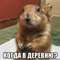  когда в деревню?