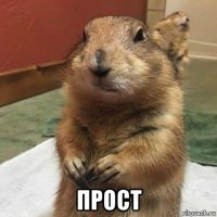  прост