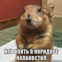  кто опять в коридоре напакостил