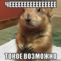 чёёёёёёёёёёёёёёёё токое возможно