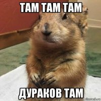 там там там дураков там