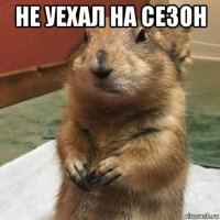 не уехал на сезон 