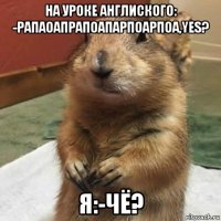 на уроке англиского: -рапаоапрапоапарпоарпоа,yes? я:-чё?