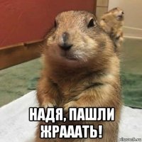  надя, пашли жрааать!