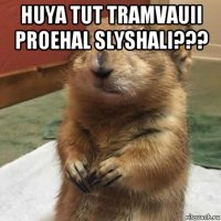 huya tut tramvauii proehal slyshali??? 