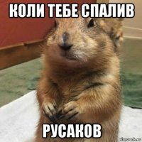 коли тебе спалив русаков