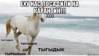 еху нас посадили на карантин!!! 