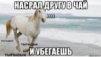 насрал другу в чай и убегаешь