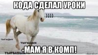 кода сделал уроки -мам я в комп!