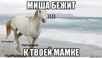 миша бежит к твоей мамке