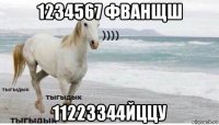 1234567 фванщш 11223344йццу