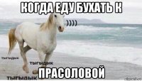 когда еду бухать к прасоловой