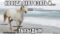 коогда охот взять и.... тыгыдык