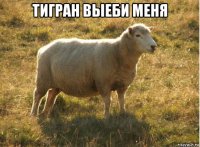 тигран выеби меня 