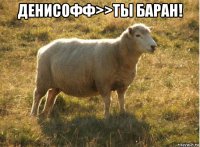 денисофф>>ты баран! 