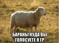  бараны куда вы голосуете я гр