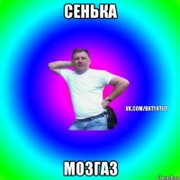 сенька мозгаз