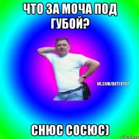 что за моча под губой? снюс сосюс)