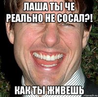 лаша ты че реально не сосал?! как ты живешь