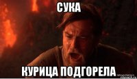 сука курица подгорела