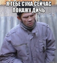 я тебе сука сейчас покажу дичь 