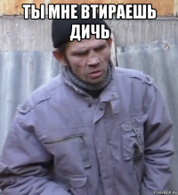 ты мне втираешь дичь 