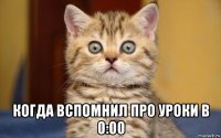  когда вспомнил про уроки в 0:00