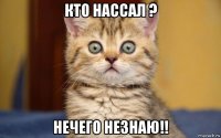 кто нассал ? нечего незнаю!!