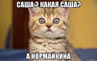 саша ? какая саша? а нормайкина