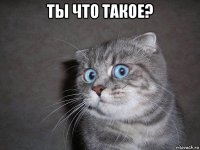 ты что такое? 