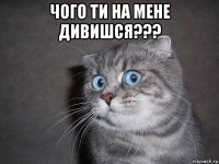 чого ти на мене дивишся??? 