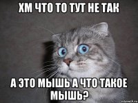 хм что то тут не так а это мышь а что такое мышь?