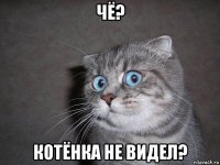 чё? котёнка не видел?