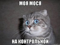 моя мося на контрольной