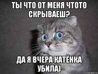 ты что от меня чтото скрываеш? да я вчера катёнка убила)