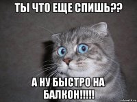 ты что еще спишь?? а ну быстро на балкон!!!!!