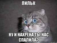 лильк ну и нахрена ты нас спалила?