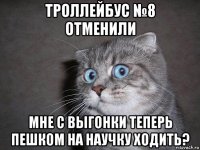 троллейбус №8 отменили мне с выгонки теперь пешком на научку ходить?