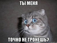 ты меня точно не тронешь?