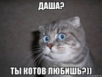 даша? ты котов любишь?))