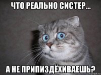 что реально систер... а не припиздёхиваешь?