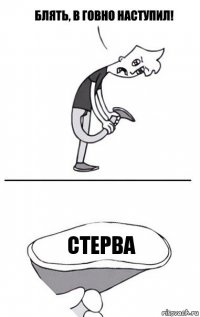 СТЕРВА