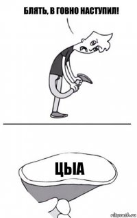 цыа