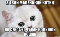 я твой маленький котик но секса хочу как большой кошак